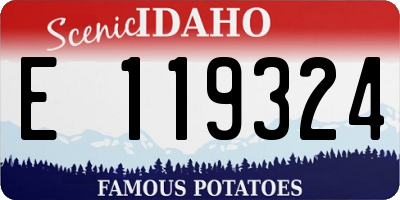 ID license plate E119324