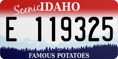 ID license plate E119325