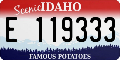 ID license plate E119333