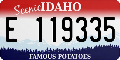 ID license plate E119335
