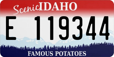 ID license plate E119344