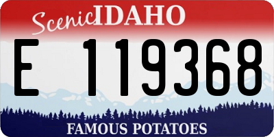 ID license plate E119368