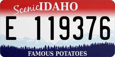 ID license plate E119376