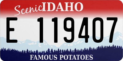 ID license plate E119407