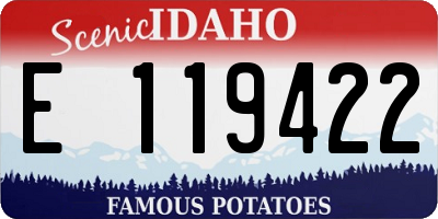 ID license plate E119422
