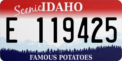 ID license plate E119425