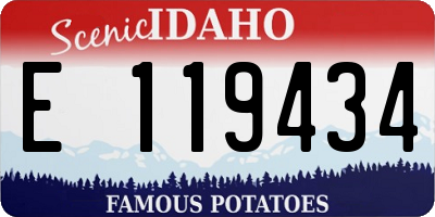 ID license plate E119434