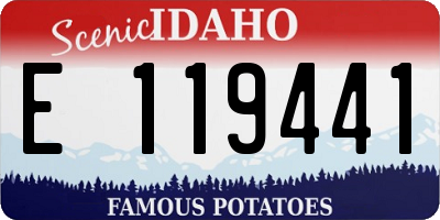 ID license plate E119441