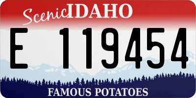 ID license plate E119454