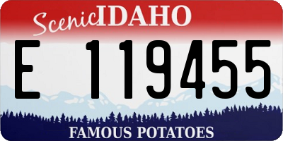 ID license plate E119455