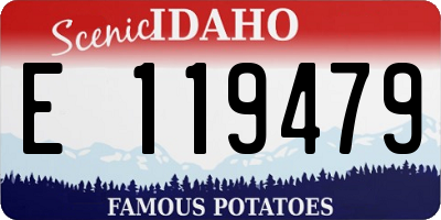 ID license plate E119479