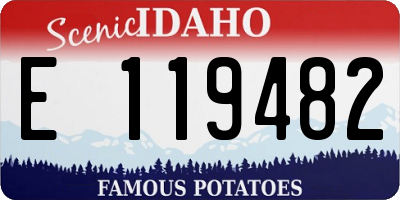 ID license plate E119482