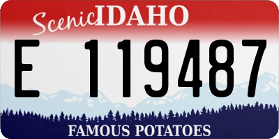 ID license plate E119487