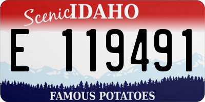 ID license plate E119491