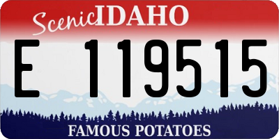 ID license plate E119515