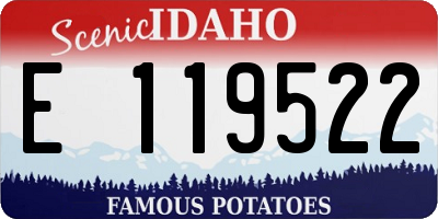 ID license plate E119522