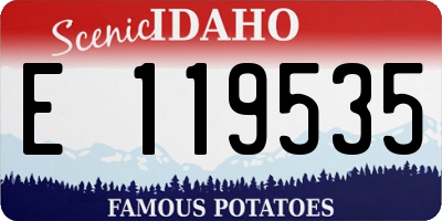 ID license plate E119535