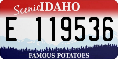 ID license plate E119536