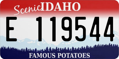ID license plate E119544