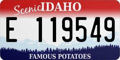 ID license plate E119549