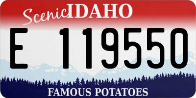 ID license plate E119550