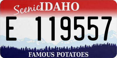 ID license plate E119557