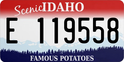 ID license plate E119558