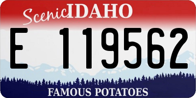 ID license plate E119562