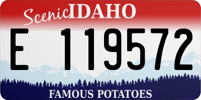ID license plate E119572