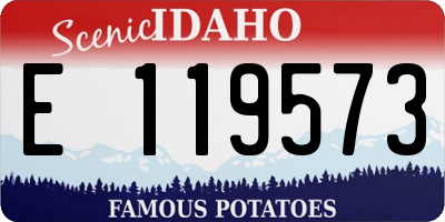 ID license plate E119573
