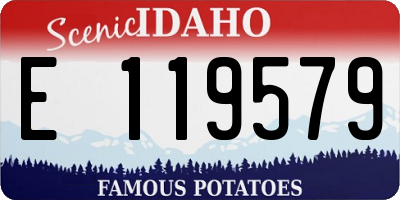 ID license plate E119579
