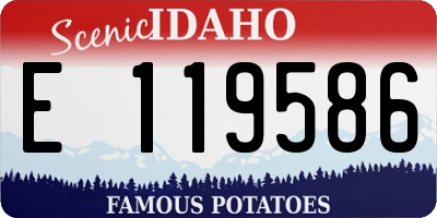 ID license plate E119586
