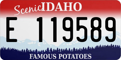 ID license plate E119589