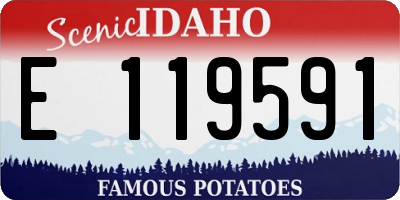 ID license plate E119591