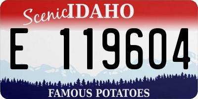 ID license plate E119604