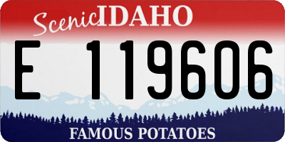 ID license plate E119606