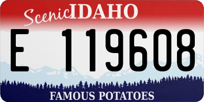 ID license plate E119608