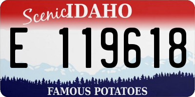 ID license plate E119618