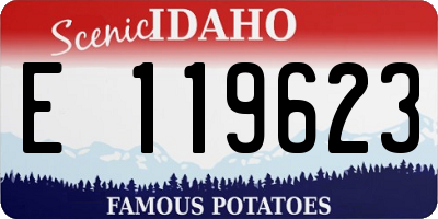 ID license plate E119623