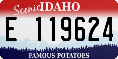 ID license plate E119624