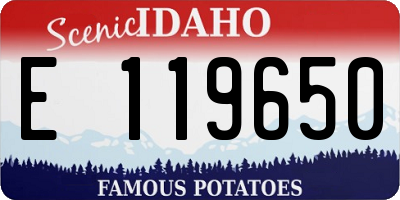 ID license plate E119650