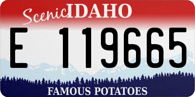 ID license plate E119665