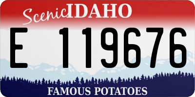 ID license plate E119676