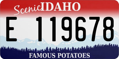 ID license plate E119678