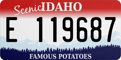 ID license plate E119687