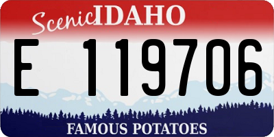 ID license plate E119706