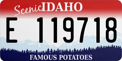 ID license plate E119718