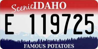 ID license plate E119725