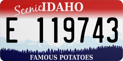 ID license plate E119743