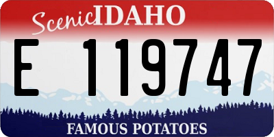 ID license plate E119747